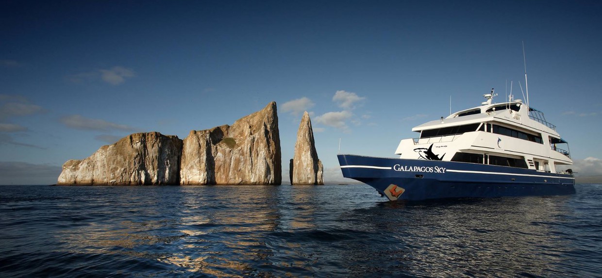 Galapagos Dive Cruise - Enjoy The Best Diving In The World - Peregrine 